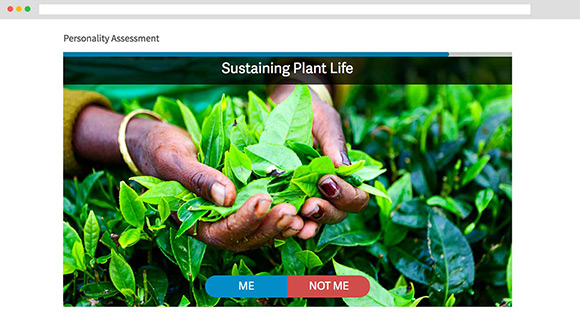 Traitify Careers Personality Assessment slide