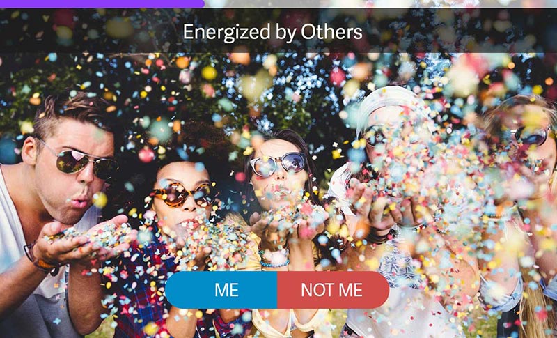 Introvert / Extrovert