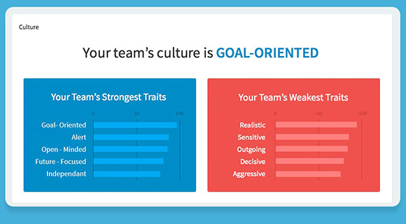 Explore personality traits prevalent within your team and candidates