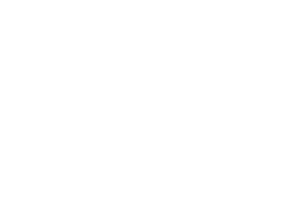 iCims